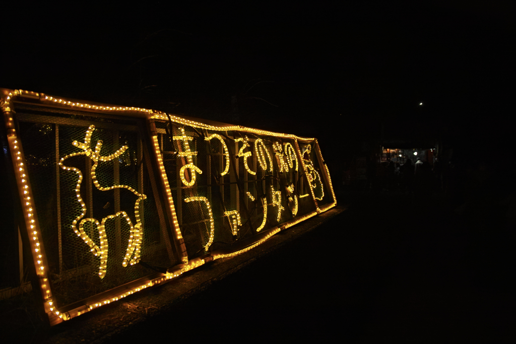 fantasy of light