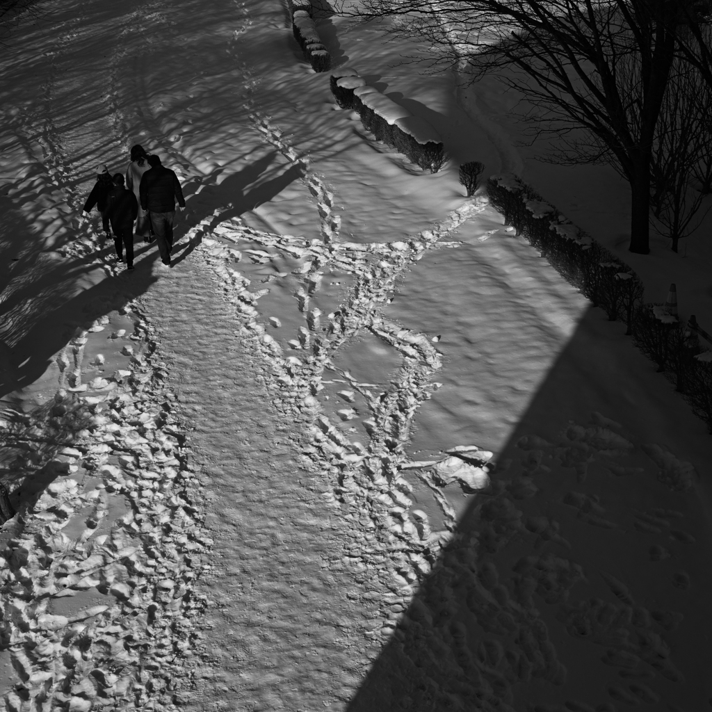 Full of shadows