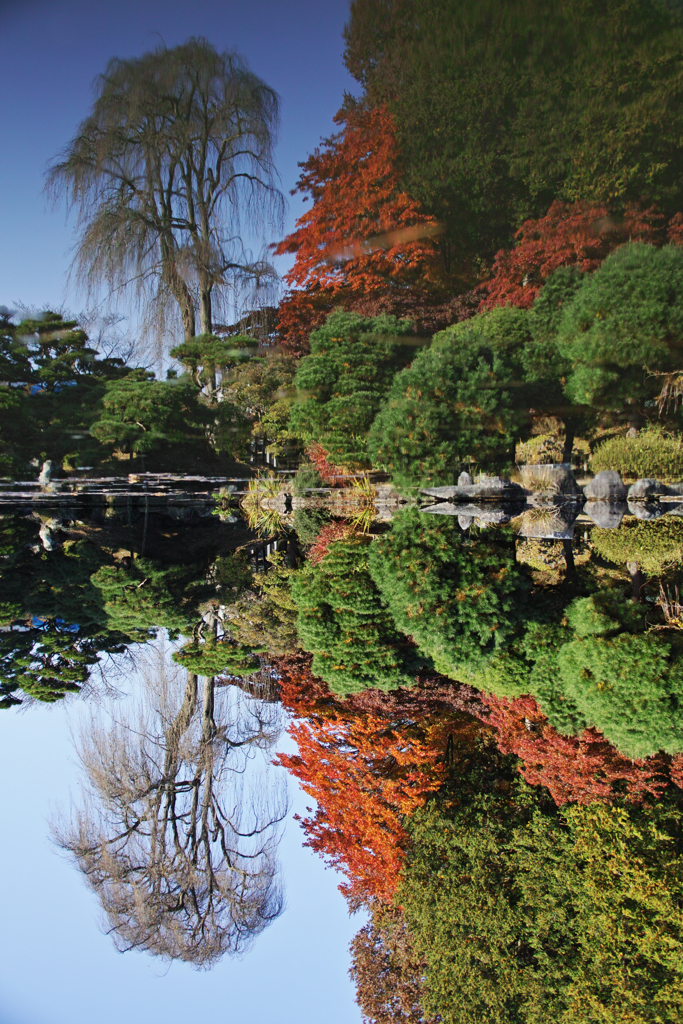reflection