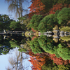 reflection