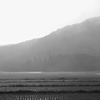 Fog monochrome