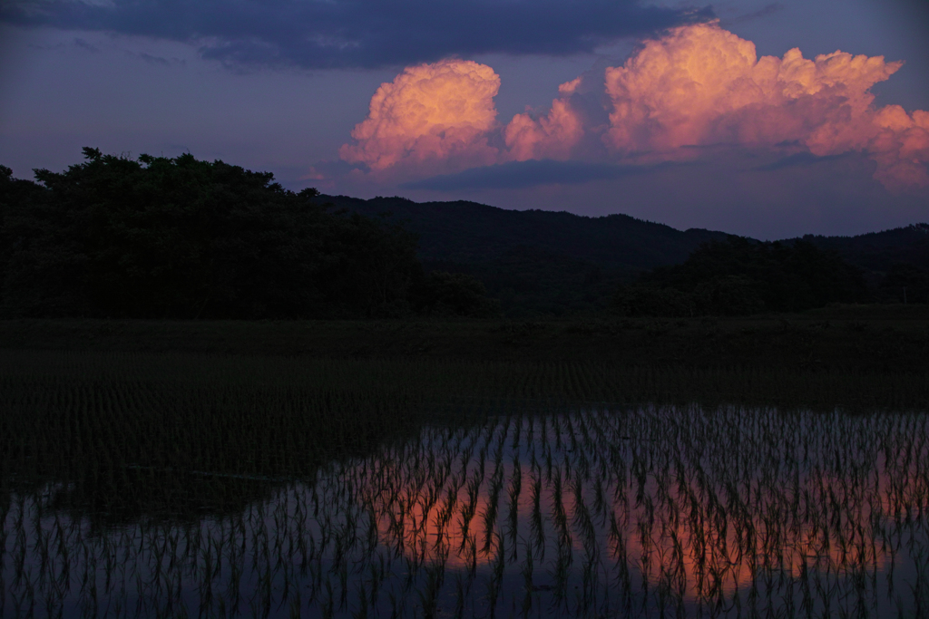 田炎