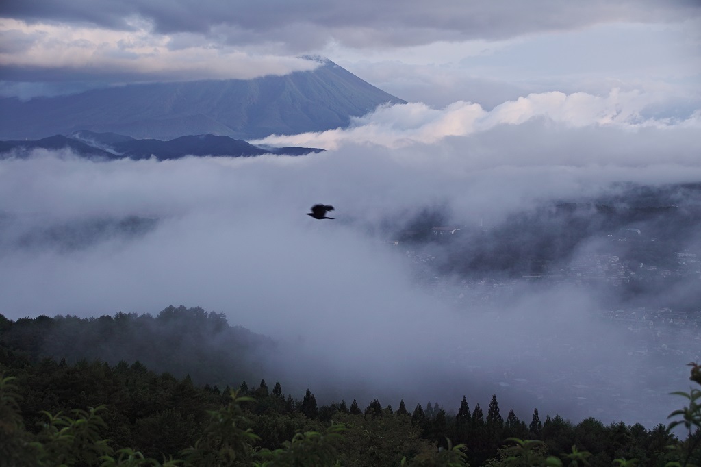 雲活
