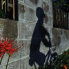 Cycling