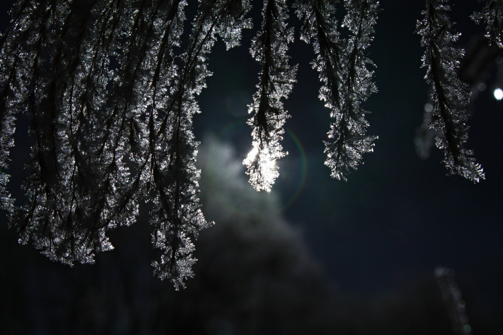 Winter ring