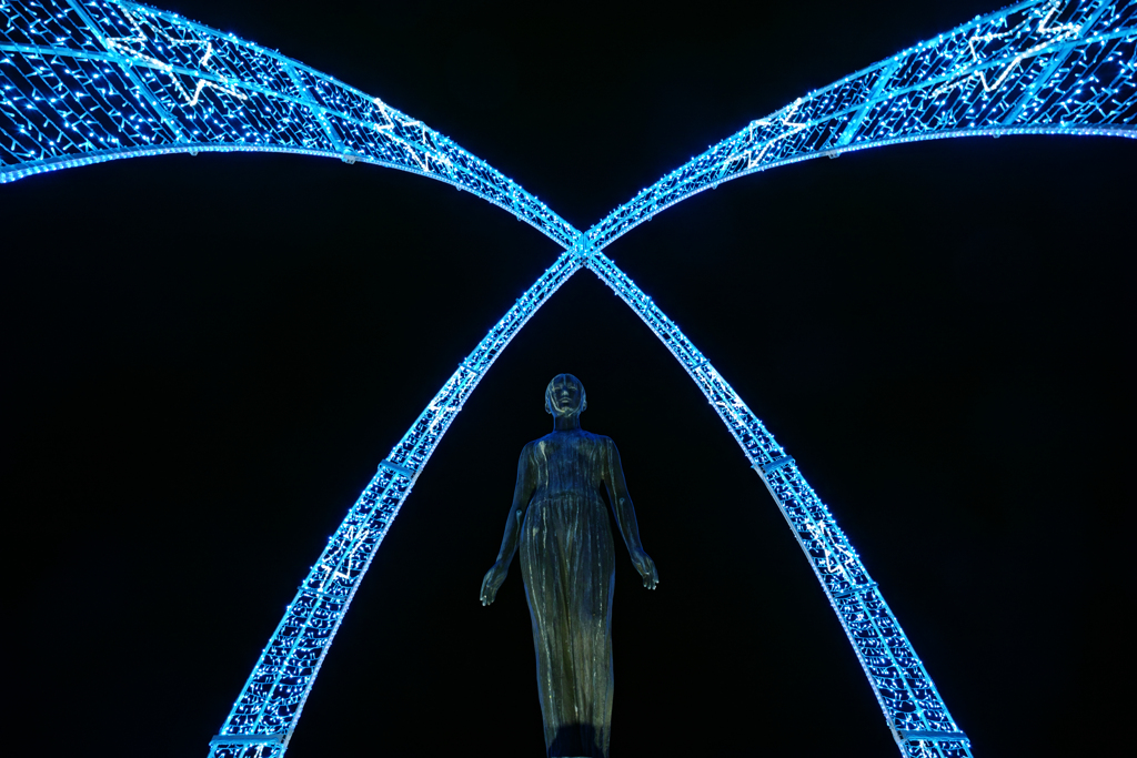 Blue flower