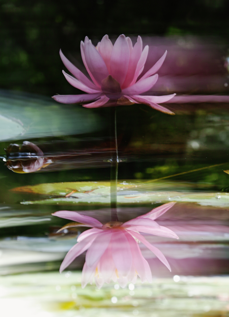 Reflection