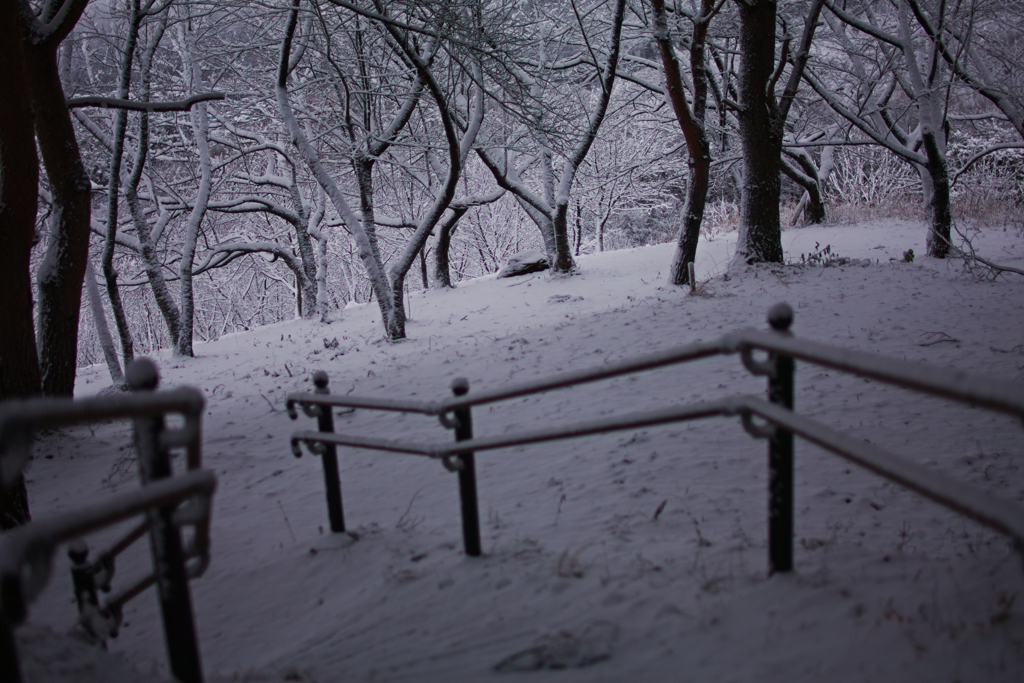 winter dance