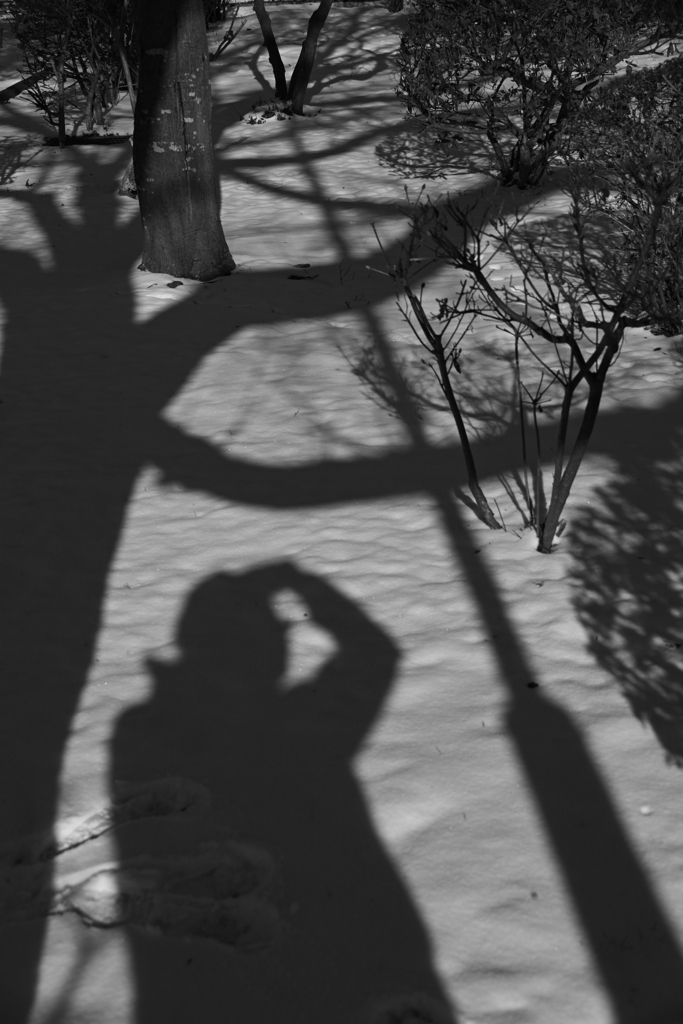 Looking for