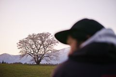 Tree and man