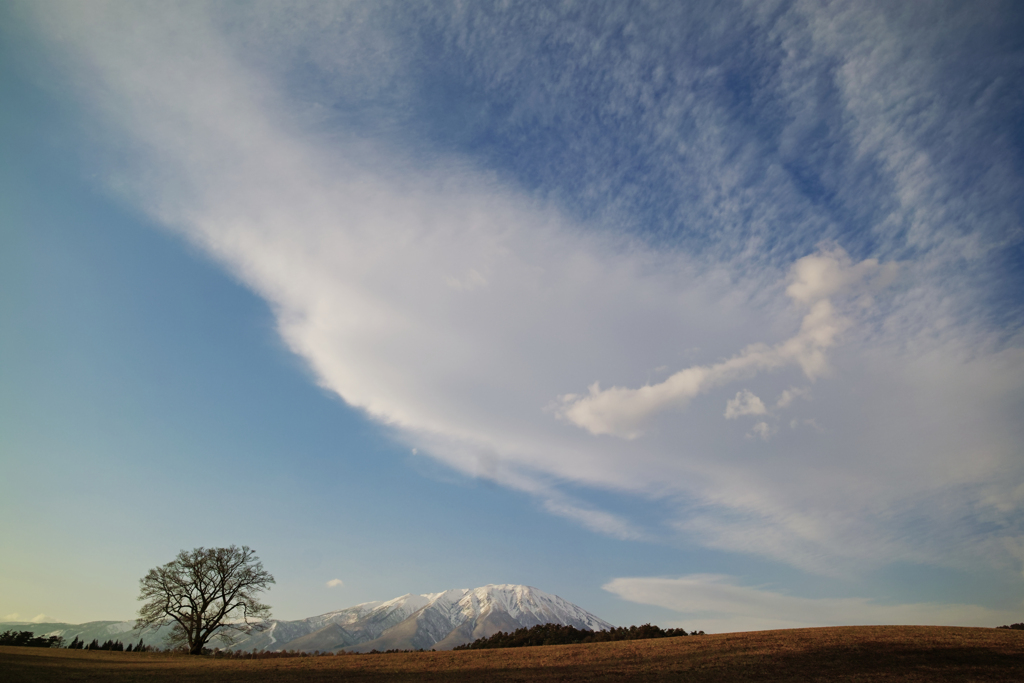 Aurora clouds