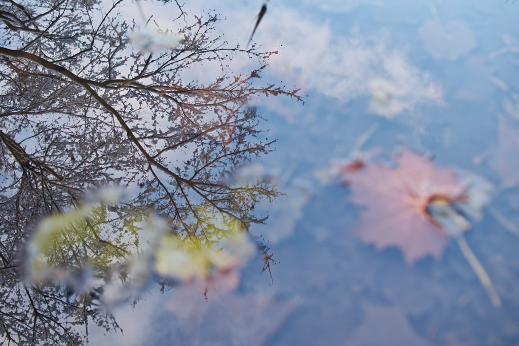 reflection