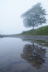 霧流し