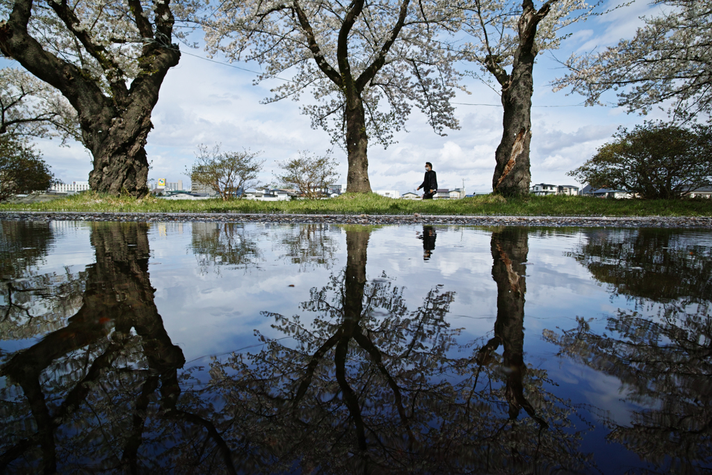 Reflection