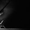 a  mantis