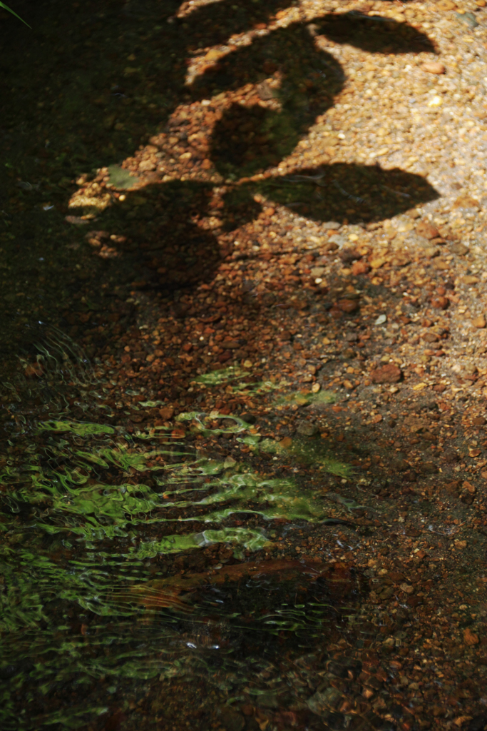 reflection