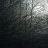 Silver world