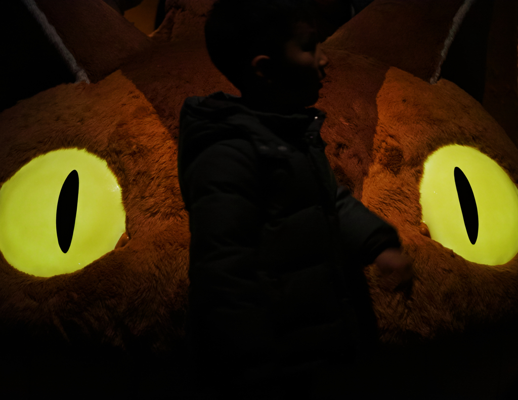 Yellow eyes