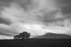 8 Monochrome