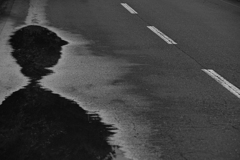 Puddle