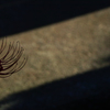 a silhouette