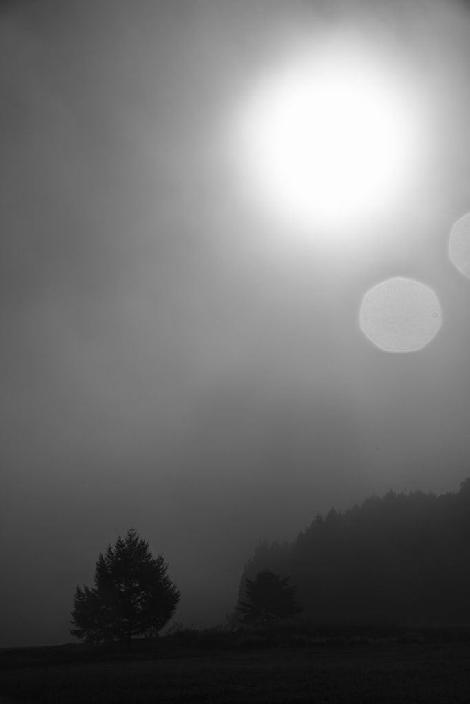 太陽の涙