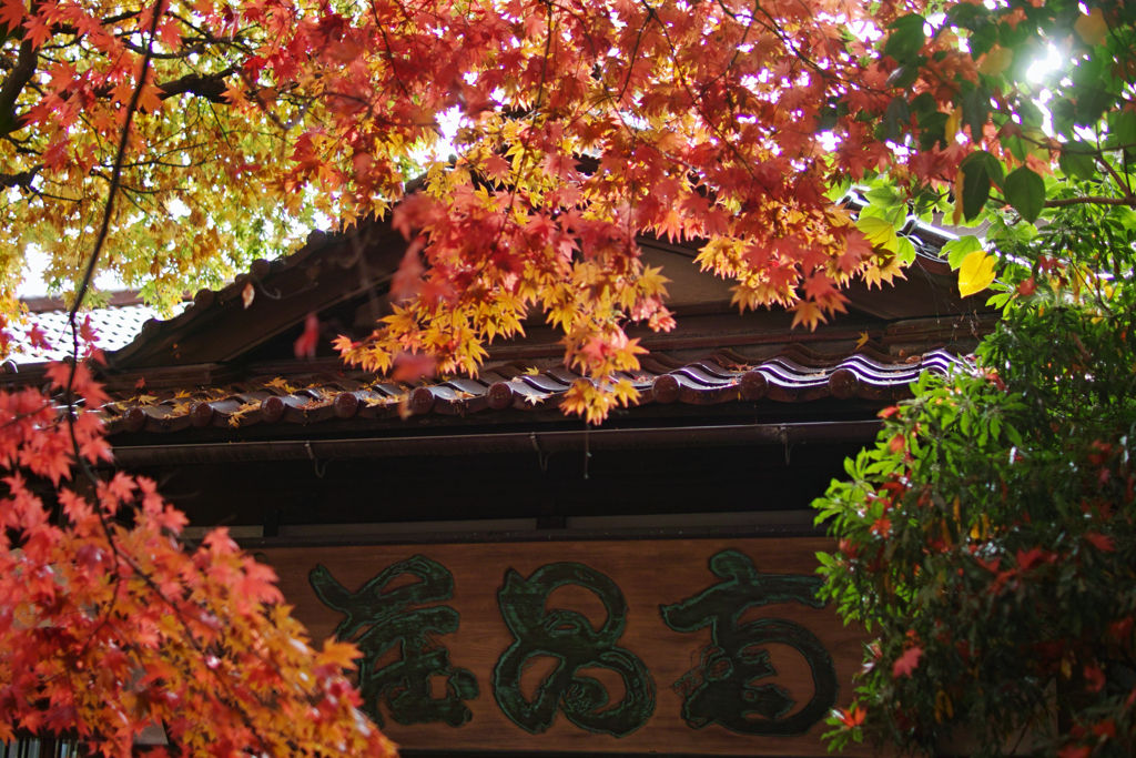 荘昌南