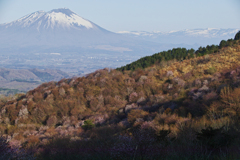 in Himekami