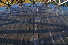 wet & shadow