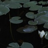 睡り