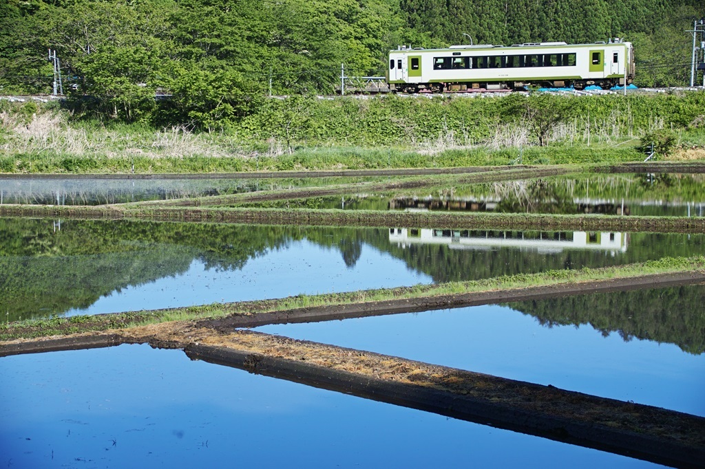 reflection