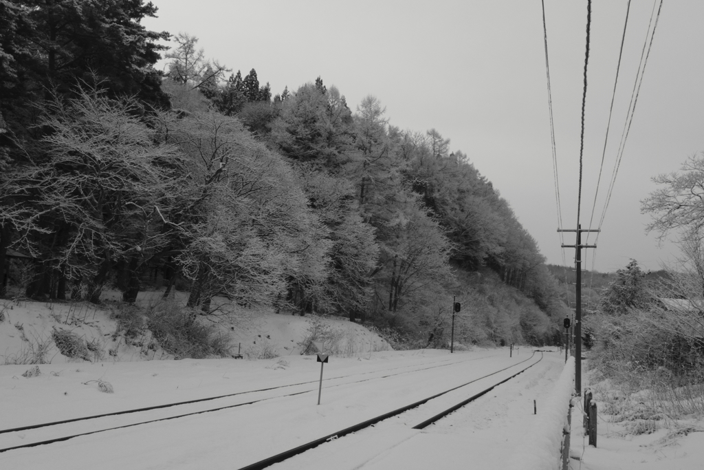 懐かしい雪景色