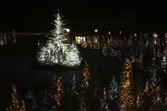 一足早いクリスマス