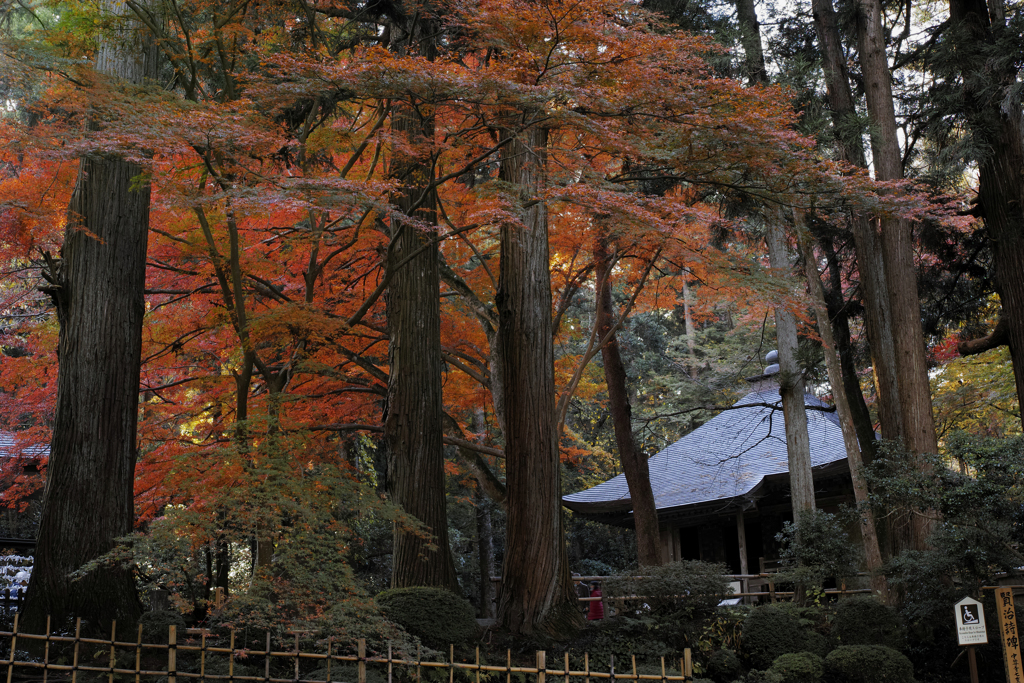 和の風景