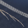 argyle pattern