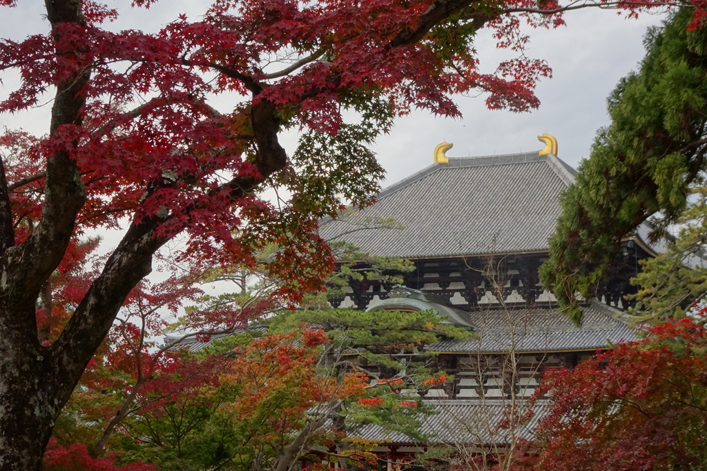 東大寺