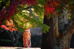 奈良公園の紅葉と花嫁