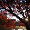 浮見堂の紅葉と朝日