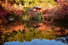 醍醐寺の水鏡