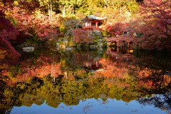 醍醐寺の水鏡