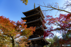 グラデーション