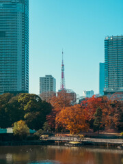 The東京