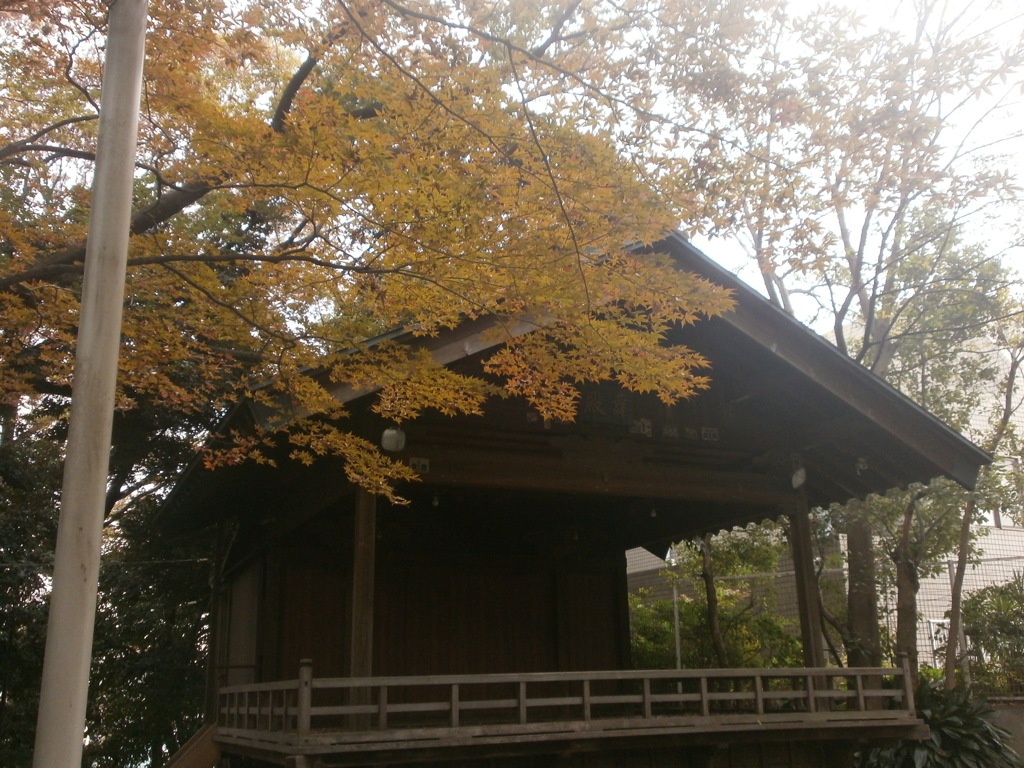 趣