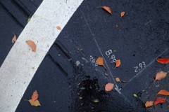 雨上がりに