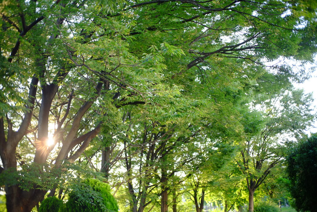 DSCF0844 2