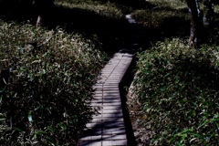 大台ヶ原