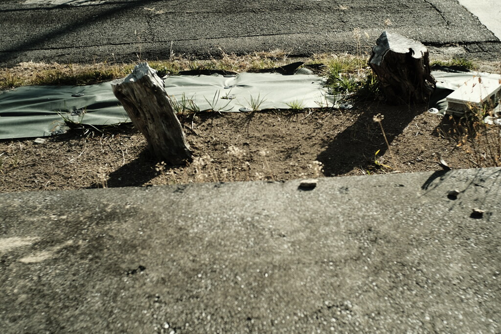 クラシッククローム習作1