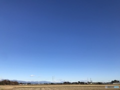 青