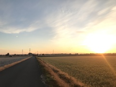 1日の始まり
