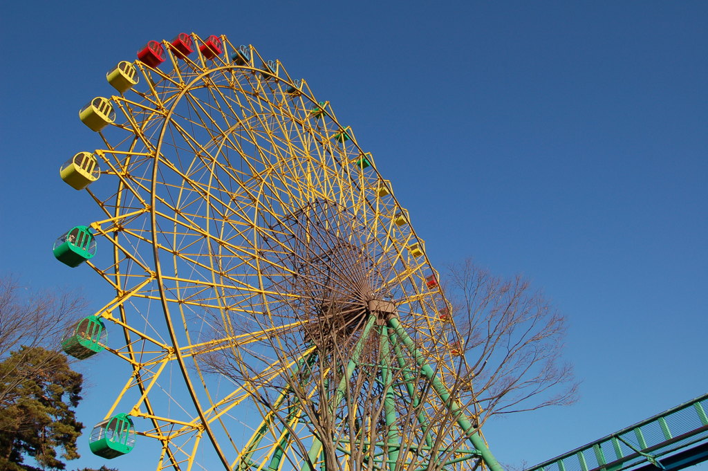 遊園地　観覧車